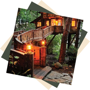 maison arboricole à Paris